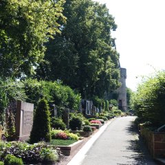 Weg alter Friedhof