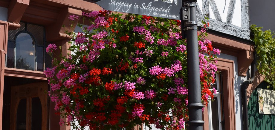 Blumenampel auf dem Marktplatz