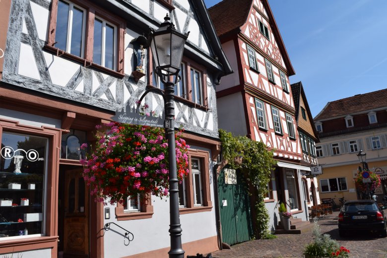 Blumenampel auf dem Marktplatz