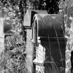 Jüdischer Friedhof Seligenstadt