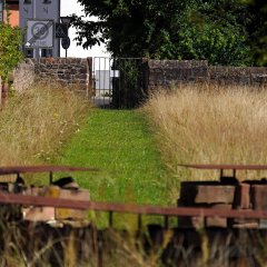 Jüdischer Friedhof Seligenstadt