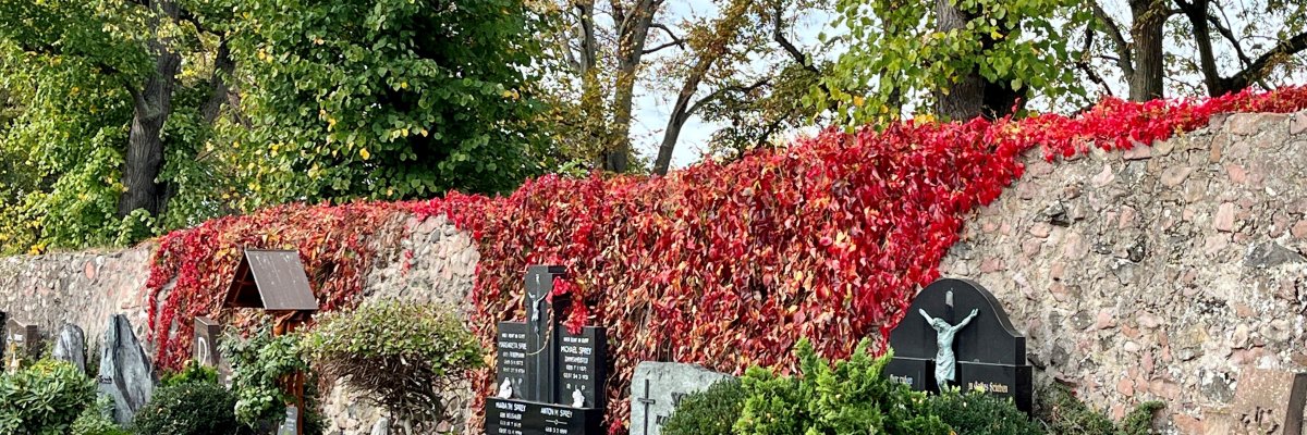 Friedhof Seligenstadt