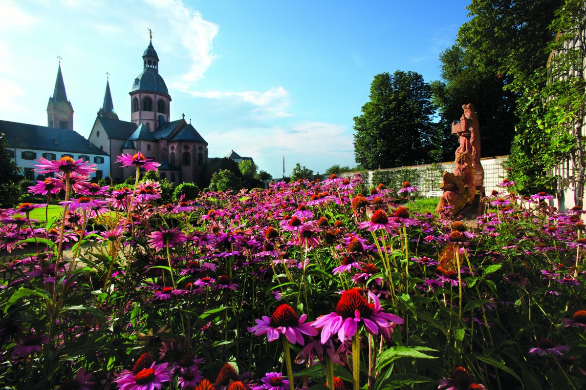 Basilika mit der Blume Fingerhut im Vordergrund