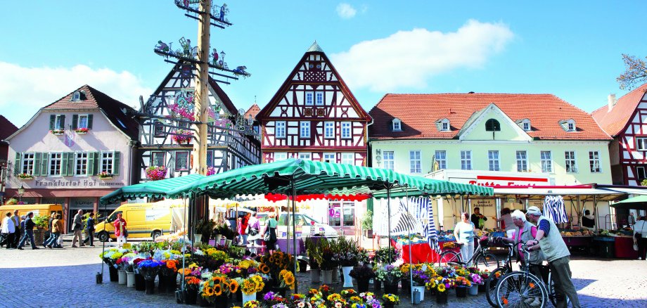 Wochenmarkt auf dem Seligenstädter Marktplatz